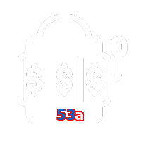 53a